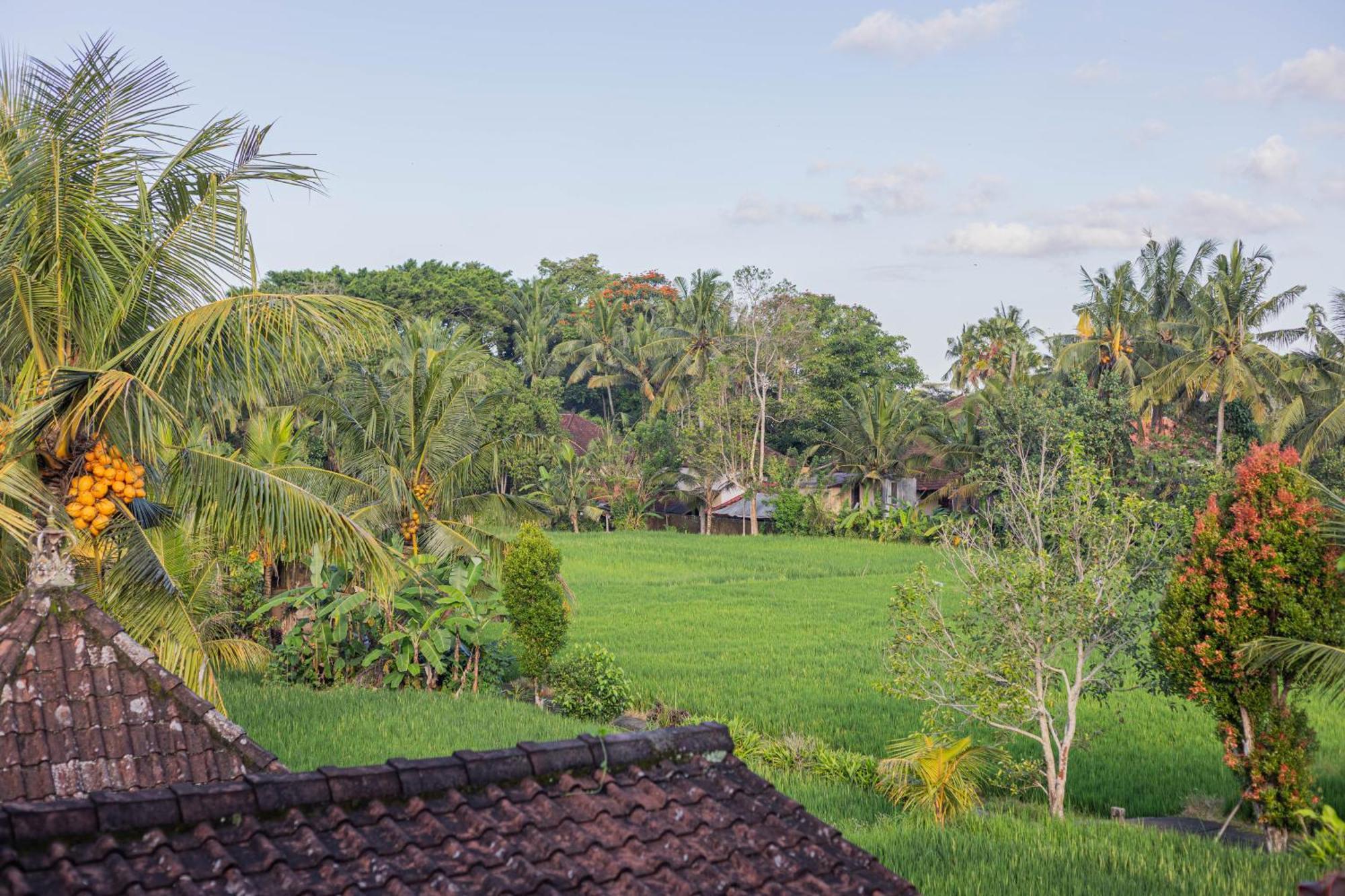 Sari Bamboo Bungalows Ubud Rum bild